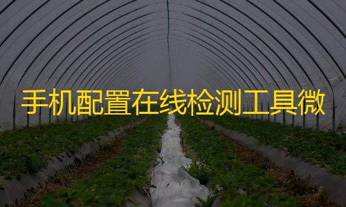 暗区突围自瞄科技手机配置在线检测工具微信小程序源码